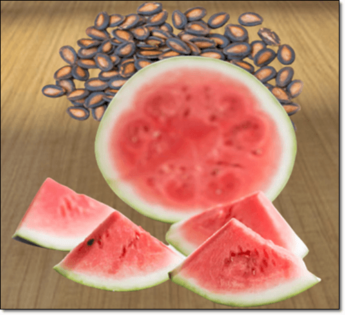 수박과 수박씨 