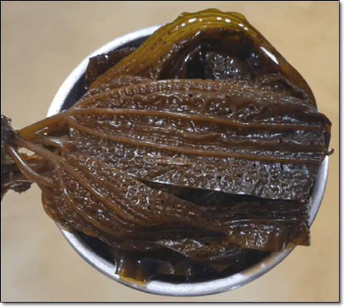 곰피 효능 및 영양 성분, 곰피 먹는 법 3 그릇에 담긴 곰피