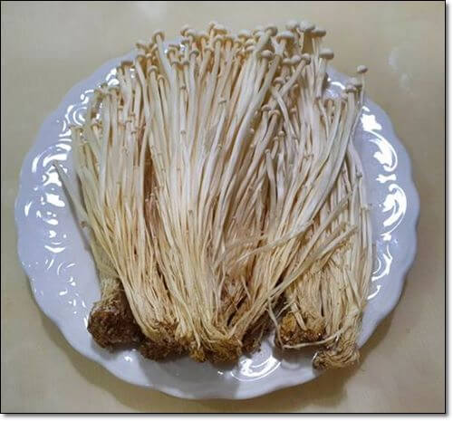 팽이버섯 2
