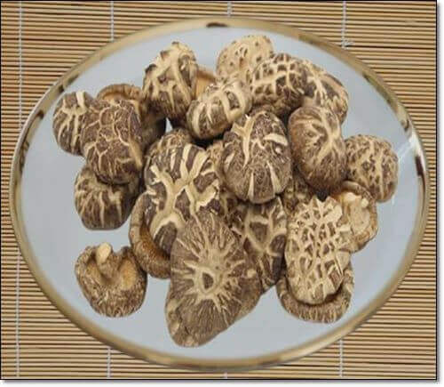 종합비타민효능 및 비타민 중요한 이유! 8 표고버섯
