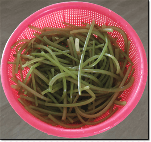 고구마순 데치기