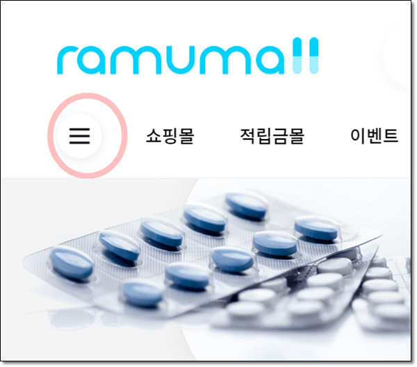 라무몰 원하는 품목 선정