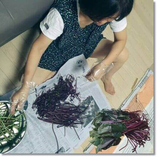 고구마 줄거리 효능