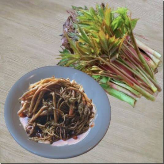 눈개승마 효능 및 영양성분 먹는 법과 주의점