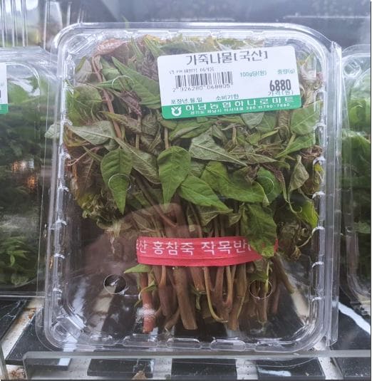 가죽나물 효능 및 먹는 법과 주의점