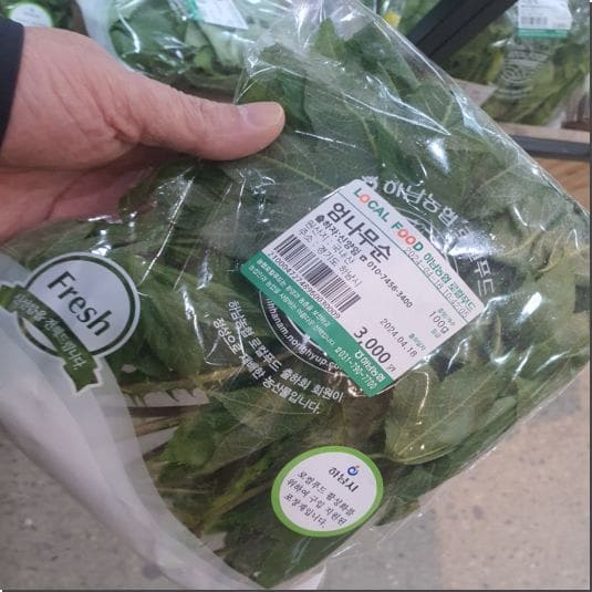 엄나무순 효능 및 두릅보다 맛있는 개두릅
