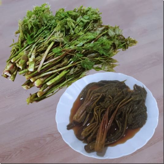 엄나무순 효능 및 먹는 법, 두릅보다 맛있는 개두릅 3 엄나무순 효능 및 먹는 법, 두릅보다 맛있는 개두릅
