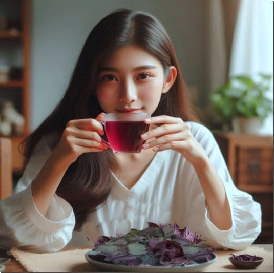 차조기 자소엽 효능 16