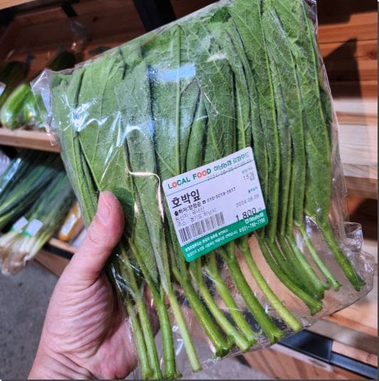 호박잎 효능 1