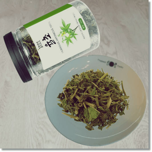 환삼덩굴 효능 및 부작용, 먹는 법까지 알아보기! 3 환삼덩굴 율초 효능 1