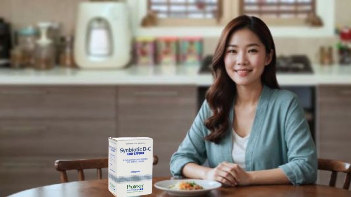 프리바이오틱스 기능 및 프로바이오틱스 효능과 주의점