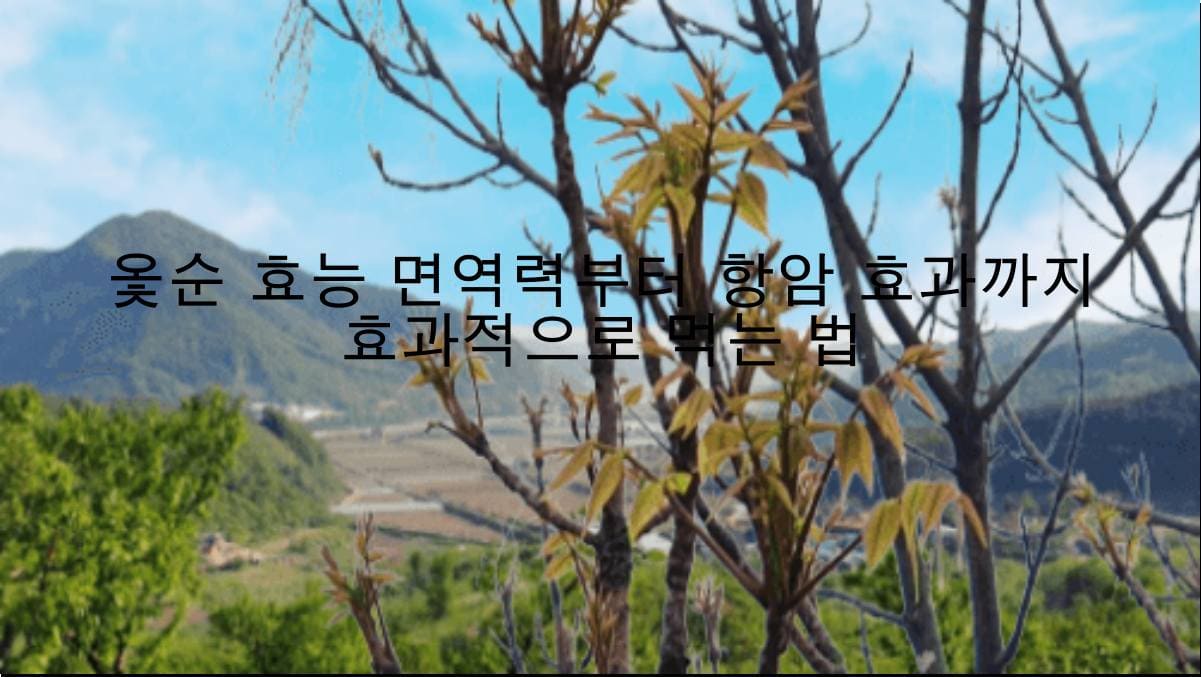 옻순 효능 면역력부터 항암 효과까지 효과적으로 먹는 법