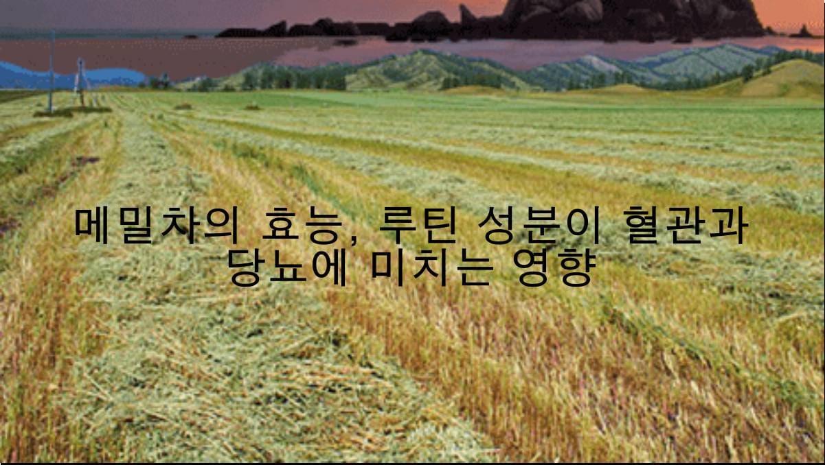 메밀차의 효능, 루틴 성분이 혈관과 당뇨에 미치는 영향