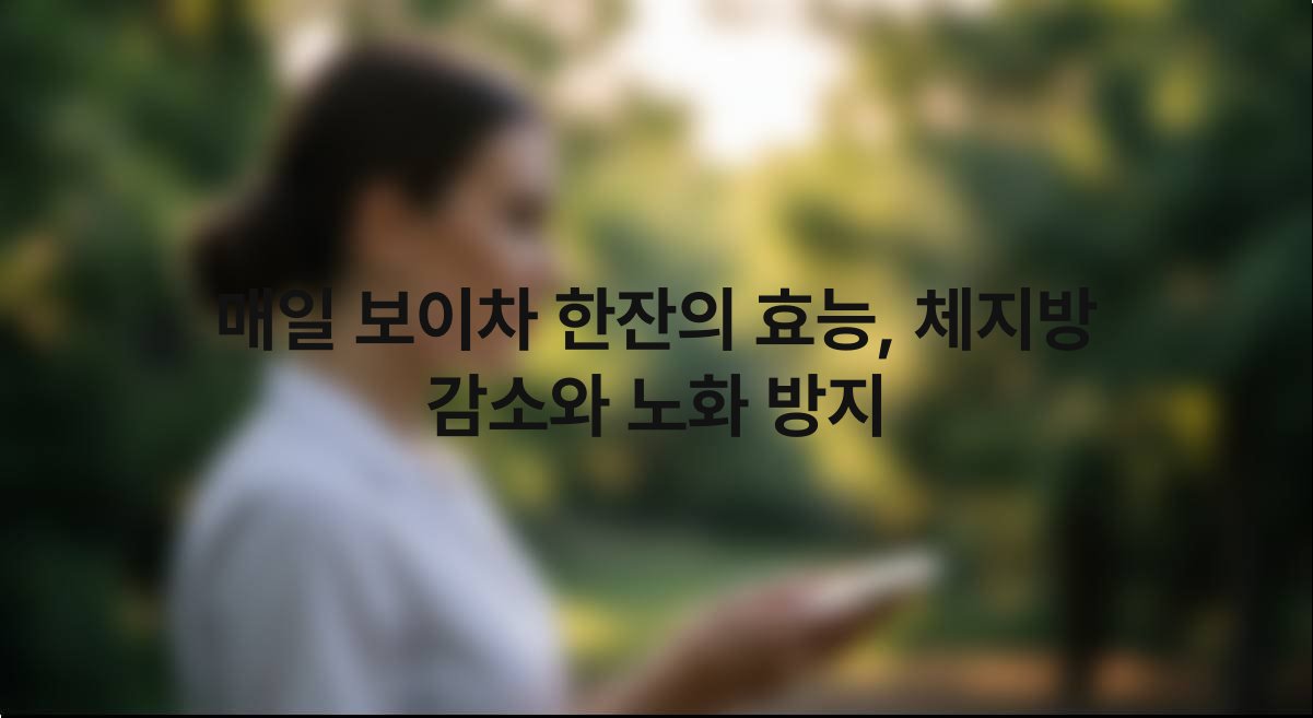 매일 보이차 한잔의 효능 체지방 감소와 노화 방지