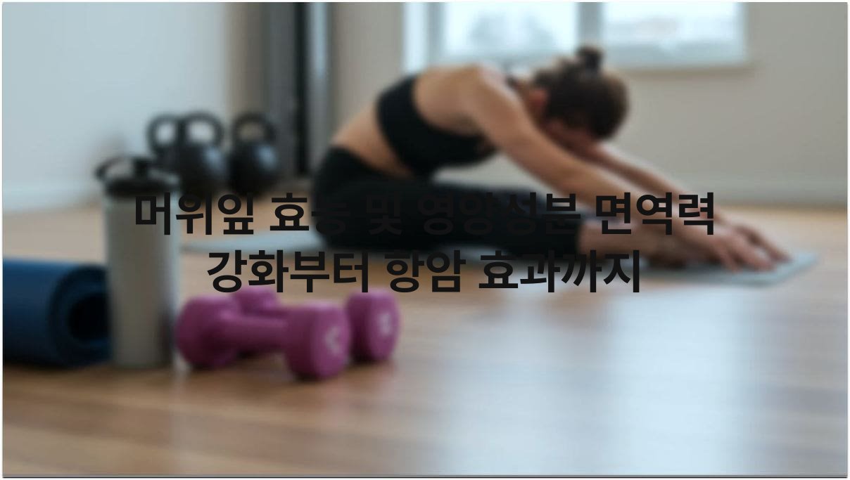 머위잎 효능 및 영양성분 면역력 강화부터 항암 효과까지