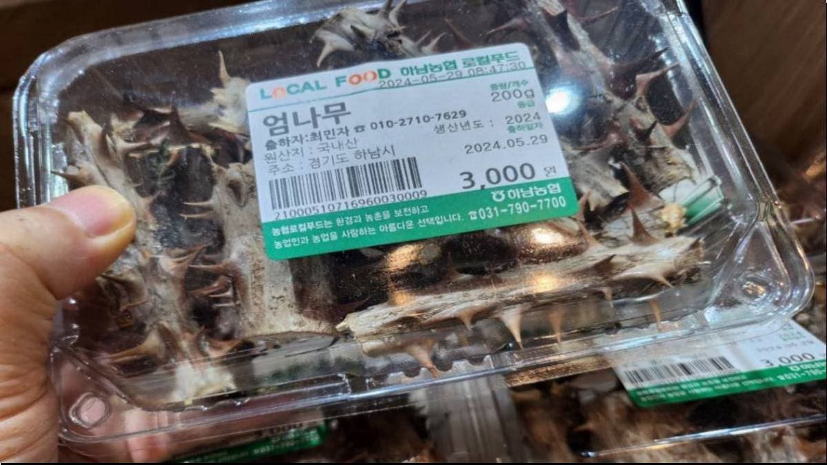 엄나무 백숙 효능 및 만드는 법 관절염에 좋은 이유