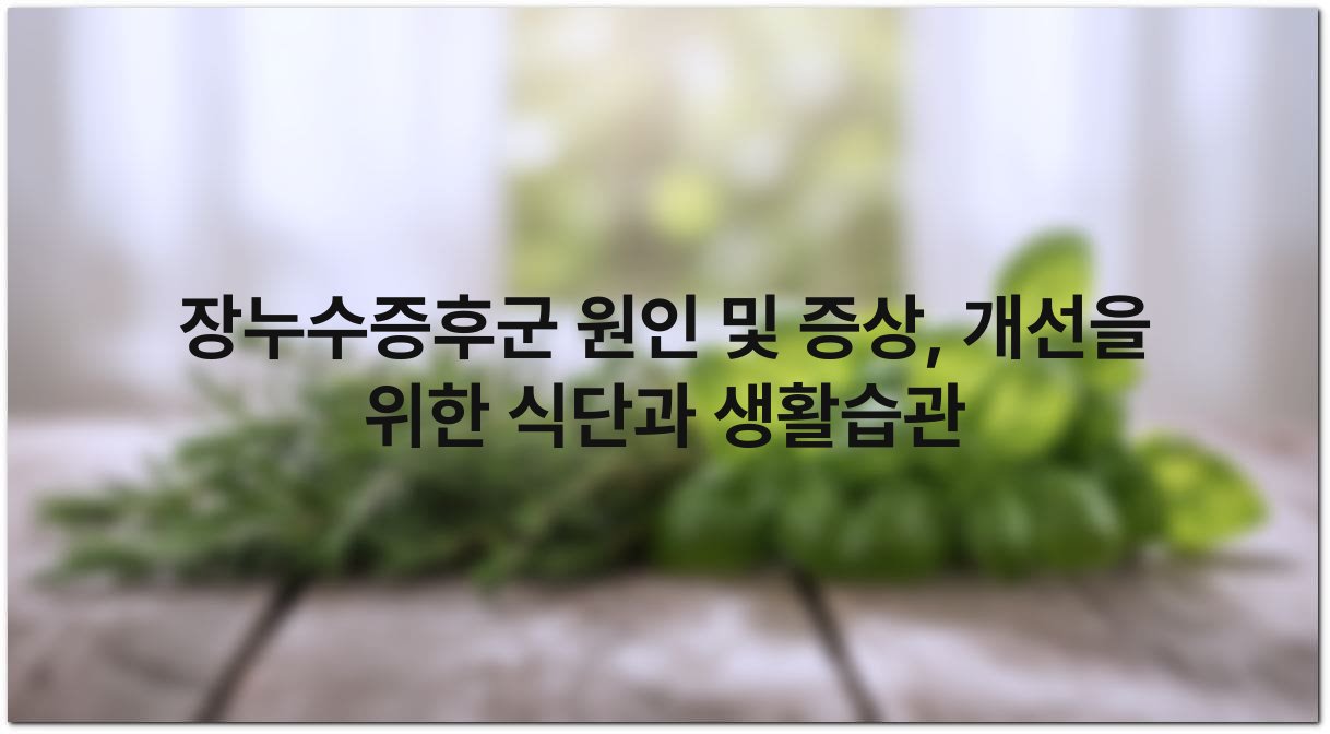 장누수증후군 원인 및 증상 개선을 위한 식단과 생활습관