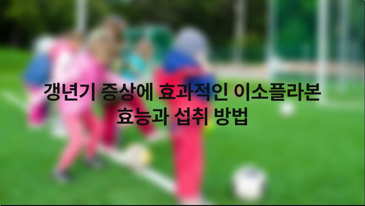 갱년기 증상에 효과적인 이소플라본 효능과 섭취 방법