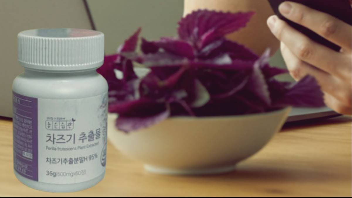 차즈기 추출물 효능 부작용, 복용법과 눈 영양제 비교