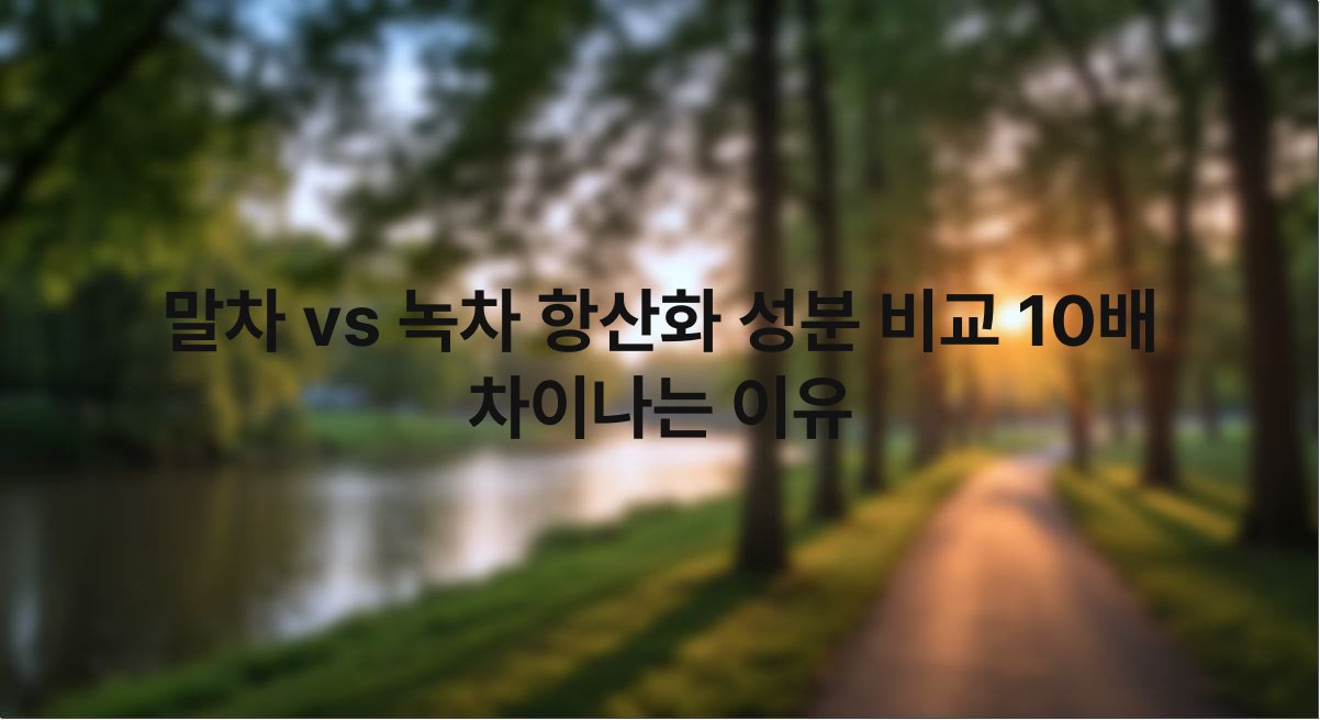 말차 vs 녹차 항산화 성분 비교 10배 차이나는 이유