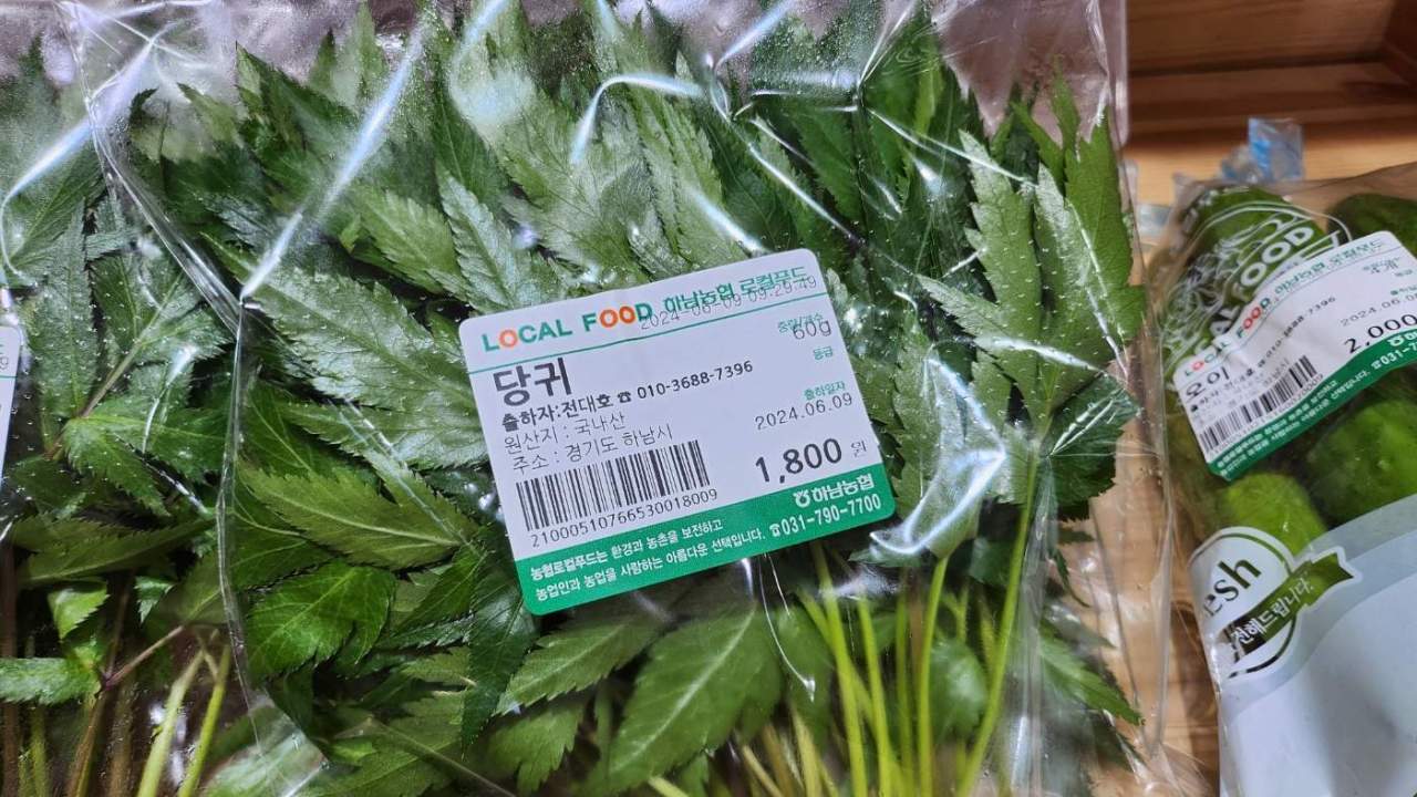 리구스틸라이드 효능, 항염 효과 뇌 건강 섭취량과 주의사항